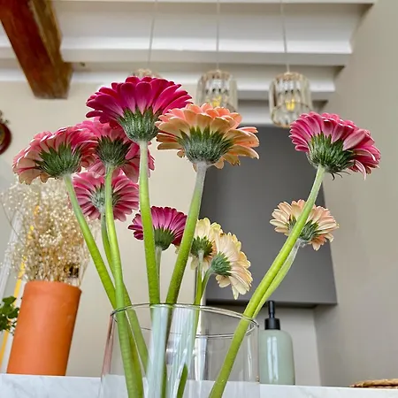 Bed and Breakfast La Focaccina