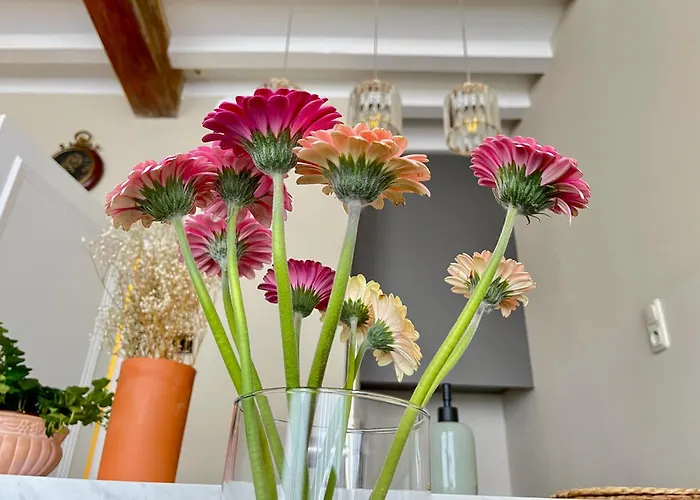 Bed & Breakfast La Focaccina